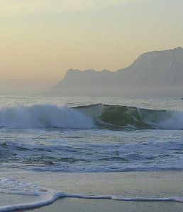 "Evening Wave"