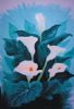 "Natures lilies"