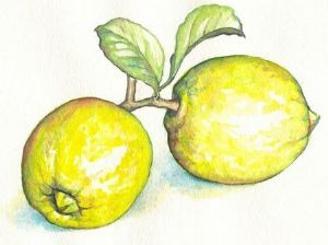 "lemon"