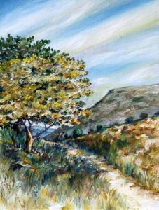 "Footpath/ Voetpaadjie"