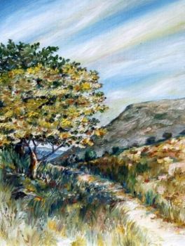 "Footpath/ Voetpaadjie"