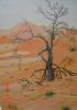 "Dry Tree in Namib Desert"