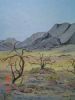 "Tiras Mountains Namibia"