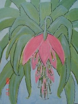 "Bromelia"