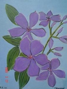 "Tibouchina"