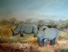 "Rhinos"