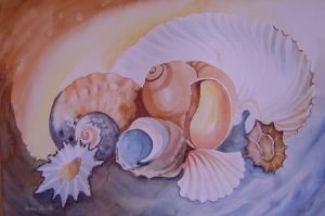 "Seashells 1"