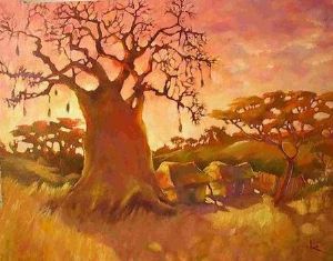 "Imbondeiro ( baobab tree)"