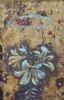 "Celestial Lilly"