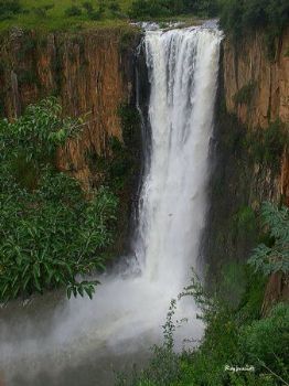 "Howick Falls"