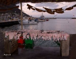 "Muizenberg Two"