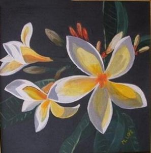 "Frangipani"