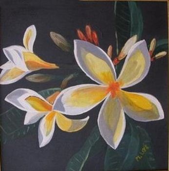 "Frangipani"