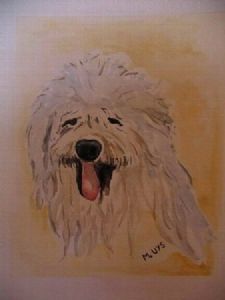 "My Maltese Dot"