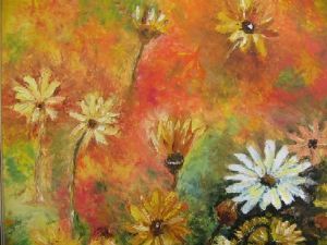 "Namaqualand Daisies"