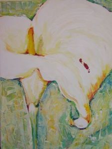 "Cala"