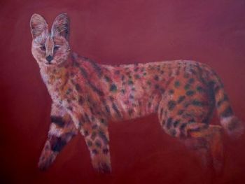 "Serval"