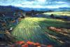 "Lutzville Farmlands"