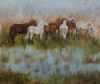 "Wild horses"