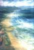 "Muizenberg Beach"