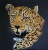 "Leopard Portrait #1"
