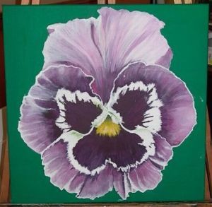 "The Pansy"