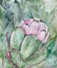 "Botanical Series: Protea"