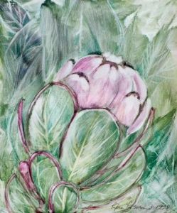 "Botanical Series: Protea"