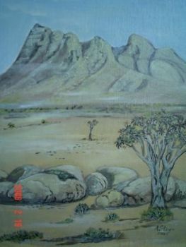 "Namibia Mountains - Rocks and Quiver Tree"