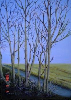 "Canal and Trees"
