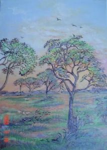 "Kalahari Sunset Veld"