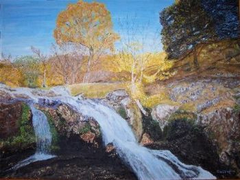 "Rapids"