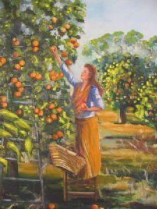 "Harvesting Oranges"