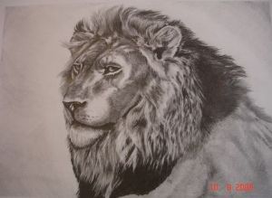 "I am the King"