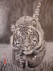 "Tiger from the Woods"