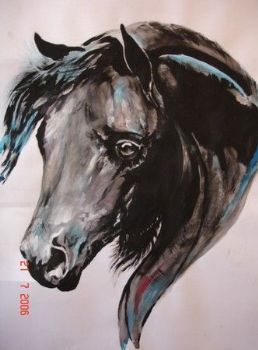 "Arabian Black Beauty"