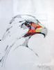 "Over the Shoulder (Bateleur)"