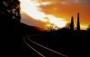 "Traintrack Sunset"