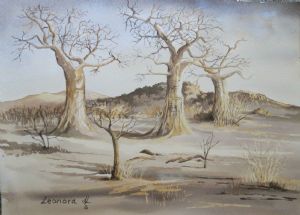 "Baobabs"