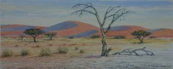 "Sossusvlei"