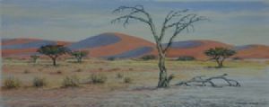 "Namib Dead Tree Sossusvlei"