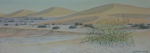 "Namib Dunes Nara"