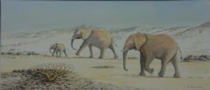 "Elephants in the Kaokoveld"