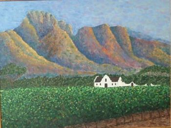 "Stellenbosch farm"