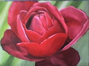 "Red Rose"