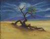 "Kalihari Dragon Tree"
