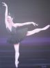 "Odile Black Swan"