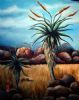 "Aloes"