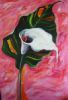 "Lilly"