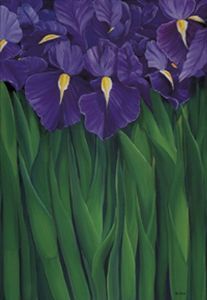 "Iris 2 of 2 (Diptych)"